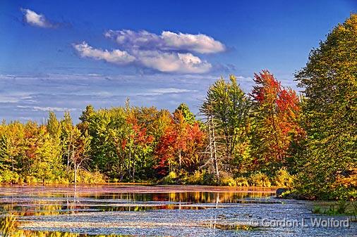 First Autumn Color_16466.jpg - Photographed near Westport, Ontario, Canada.